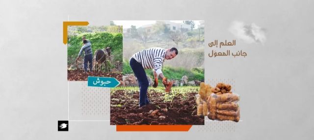 عباس بشروش .. من التعليم في الجامعة إلى الحقل وزراعة البطاطا