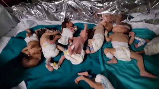 بعد نقل الأطفال الخدج من "مستشفى الشفاء" في غزة إلى مصر... ما هو مصيرهم الحاليّ؟