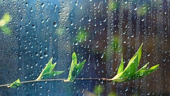 مع بداية الاسبوع.. الأمطار راجعة وهذا ما يخبّئه الطقس!