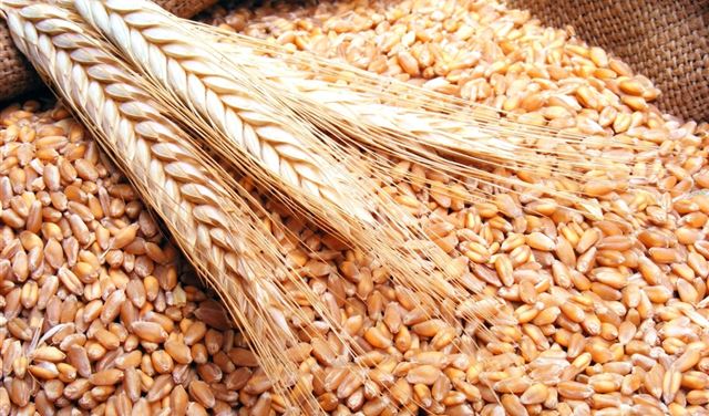 "القضاء الأعلى" ينهي الجدل حول شحنة القمح