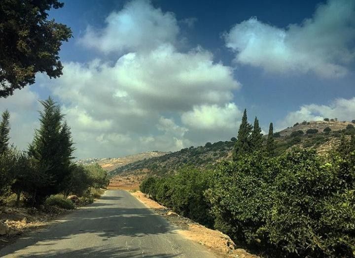 في الزرارية... العثور على جثة امرأة داخل أحد البساتين!