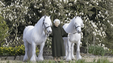بالصور : بمناسبة عيد ميلادها الـ96… “باربي” تطلق دمية خاصة بالملكة إليزابيث
