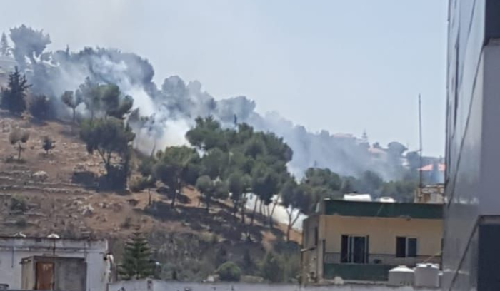 حريق كبير في حرج صنوبر جبل الرويس في الشقيف