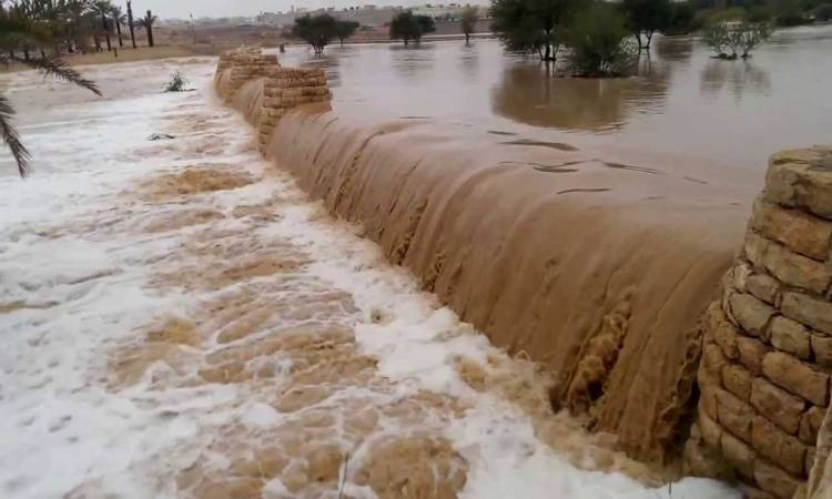 ارتفاع عدد قتلى السيول في السودان إلى 75 شخصا