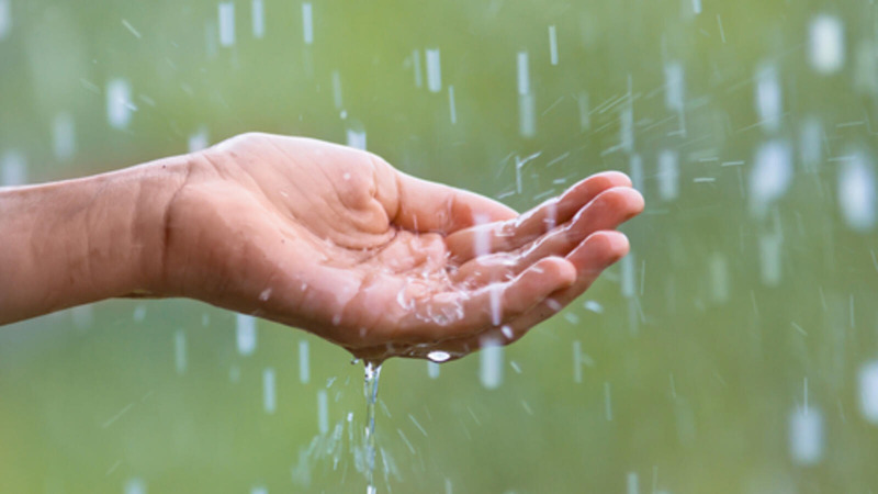 مياه الأمطار غير صالحة للشرب في كل مكان.. علماء يكتشفون طريقة لتدمير "الملوثات الأبدية"