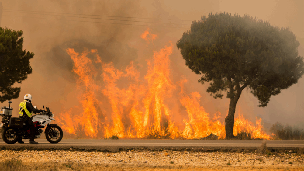 بالفيديو.. إجلاء المئات في اسبانيا وخسارة آلاف‭‭‬ ‬الهكتارات من الغابات جراء حريق غرب البلاد