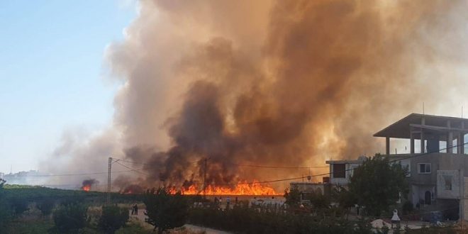 بالفيديو.. حريق في الميناء خلف الجامعة العربيّة