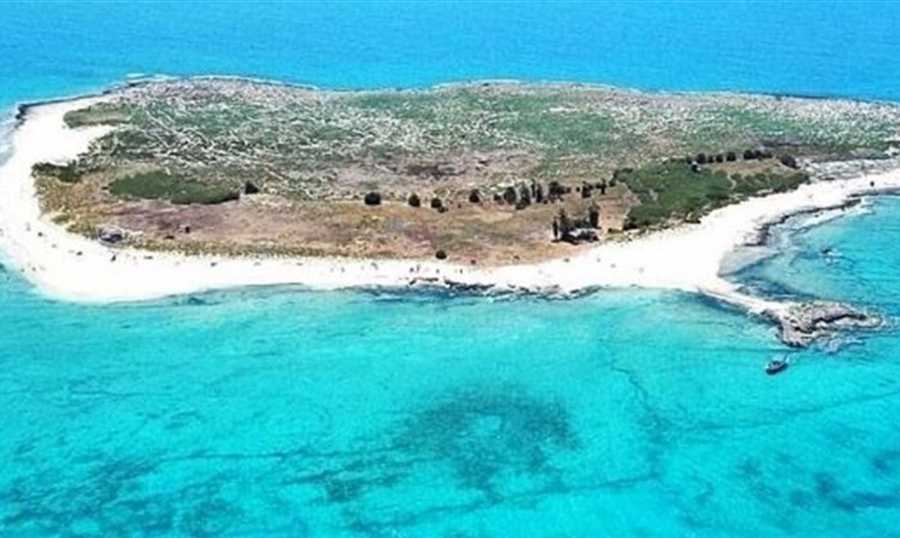 لجنة محمية جزر النخيل: اقفال المحمية حتى مطلع الاسبوع المقبل وذلك بسبب التحقيقات