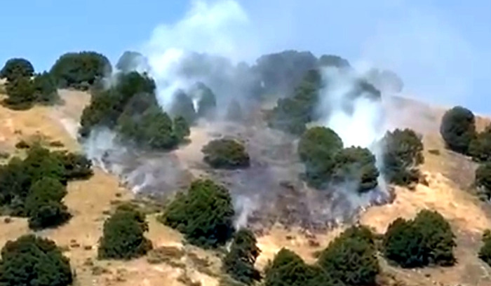 حريق بغابة اللزاب في خراج بلدة مشمش العكارية