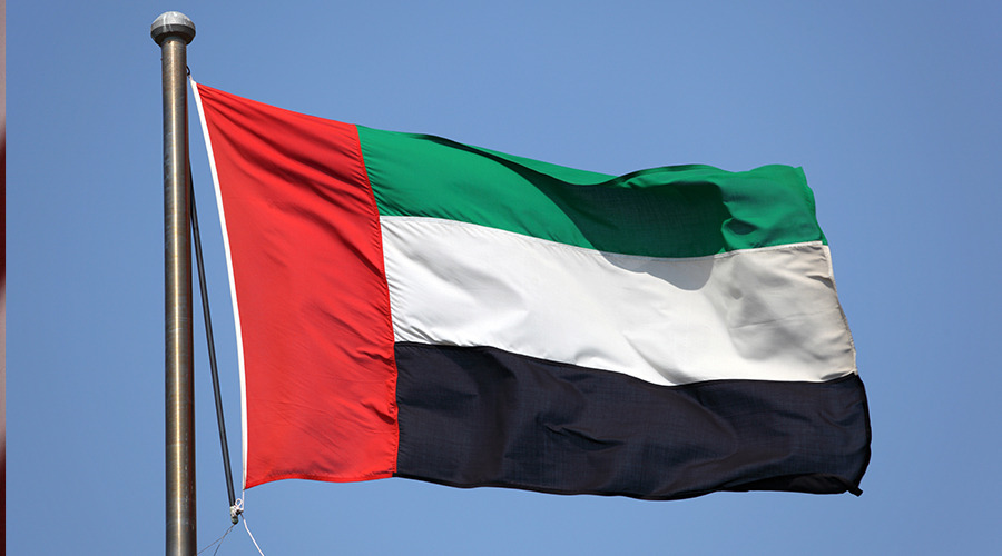 الإمارات تدين بشدة العدوان الإسرائيلي على جنين