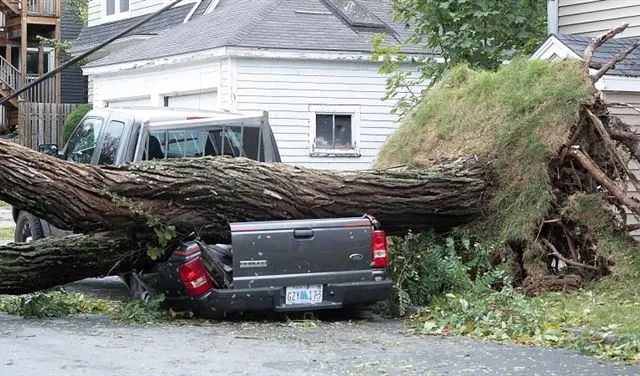 مئات الآلاف بدون كهرباء وانهيار منازل… كندا تواجه إعصاراً مدمّراً