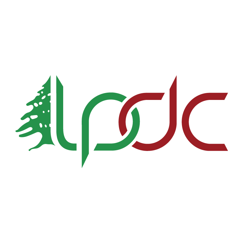 الحوار اللبناني - الفلسطيني: المطلوب تفعيل اللجنة