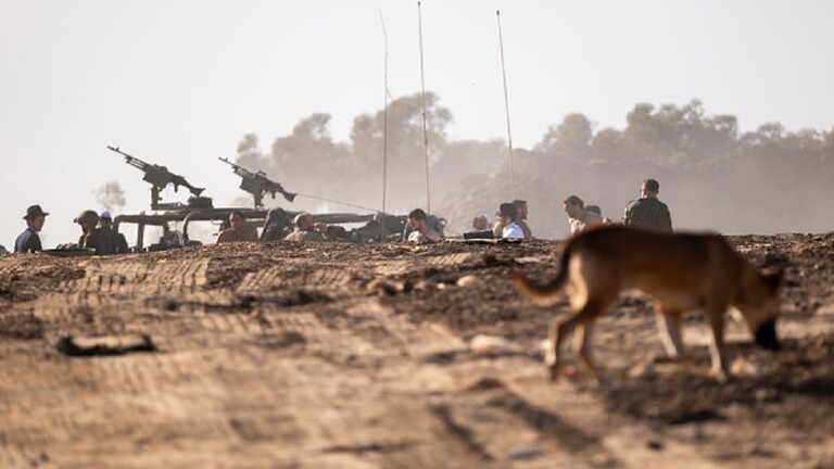 كلاب المستوطنين تهاجم جنوداً إسرائيليين في الخليل!