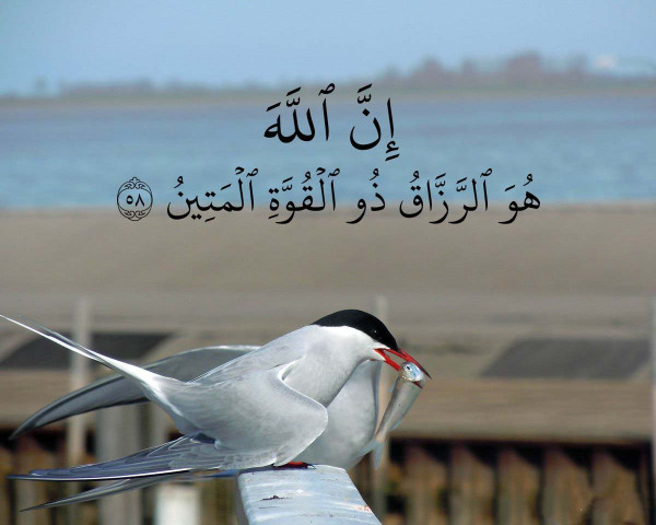 "درجات الرّزق"!