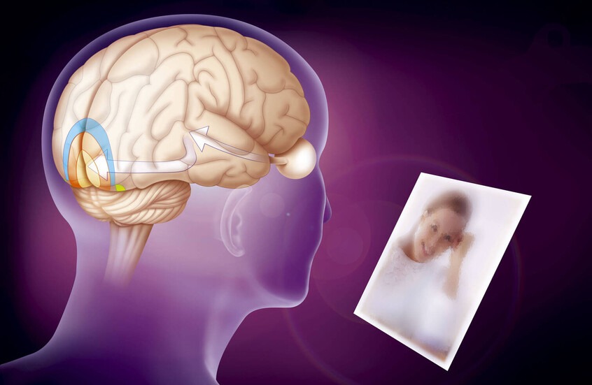 اختراق علمي جديد: تعديل الذكريات لم يعد خيالاً علمياً