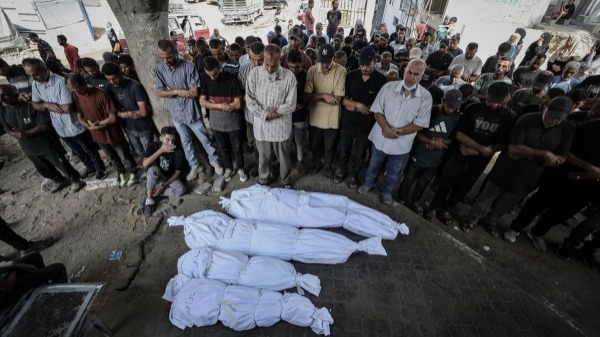 أكثر من 40 شهيداً في قطاع غزة منذ الفجر.. والاحتلال يكثف عدوانه على حي الشيخ رضوان