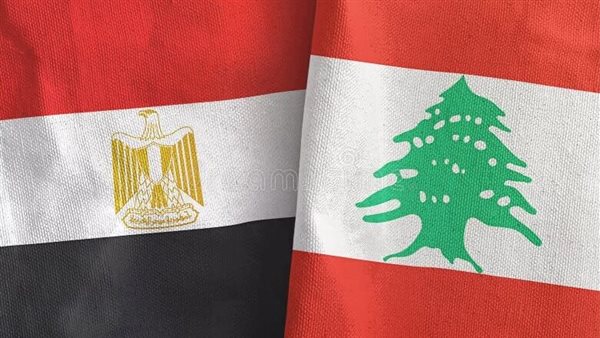 السفير المصري: ما قامت به الحكومة في جلستها الأخيرة يُعدّ خطوة إيجابية في الاتجاه الصحيح