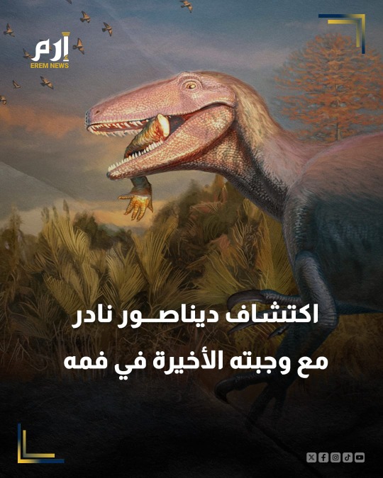 اكتشاف نوع جديد من الديناصورات يُدعى "خواكينرابتور كاسالي"
