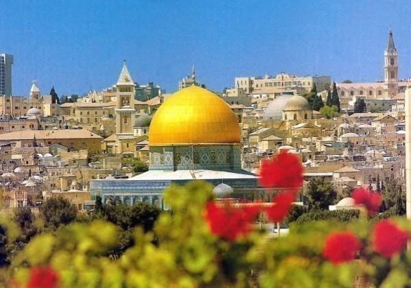 تعال إليَّ يا وطني…