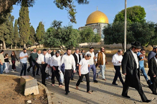 683 مستعمرا يقتحمون المسجد الأقصى ويؤدون طقوسا تلمودية أمام قبة الصخرة