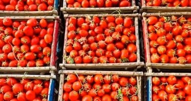 الجمارك ووزارة الزراعة تضبط كميات من البندورة والألبسة السورية المهربة