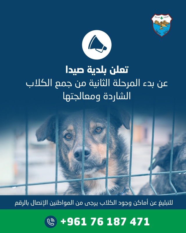 بلدية صيدا تطلق المرحلة الثانية من مشروع مأوى الكلاب الشاردة: تحصين وإخصاء ورعاية صحية