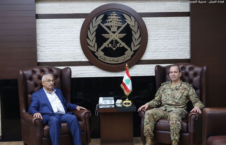 قائد الجيش العماد هيكل يلتقي النائب أسامة سعد لمناقشة الأوضاع العامة