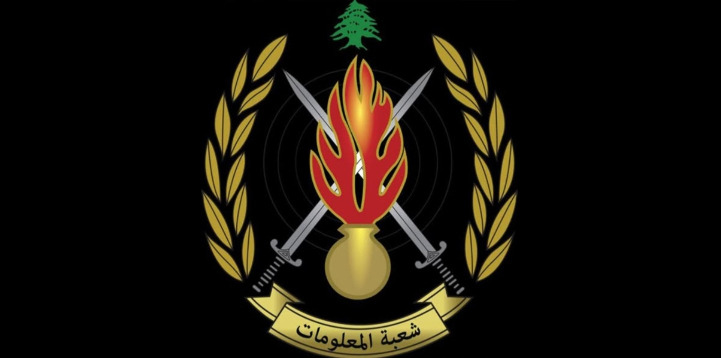 "المعلومات" تكشف ملابسات جريمة القتل الغامضة في شاتيلا
