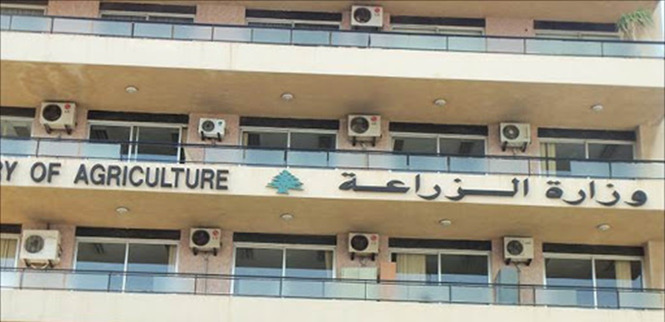 بعد إنتشار مرض الحمّى القلاعية... بيانٌ عاجل لوزارة الزراعة