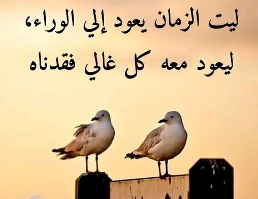 "العودةُ إلى الوَرَاء"!