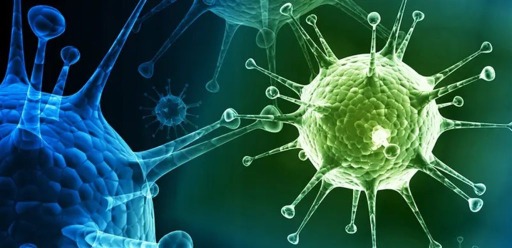وفاة 3 أطفال… “H3N2” الشديدة الخطورة تنتشر في الأراضي المحتلة