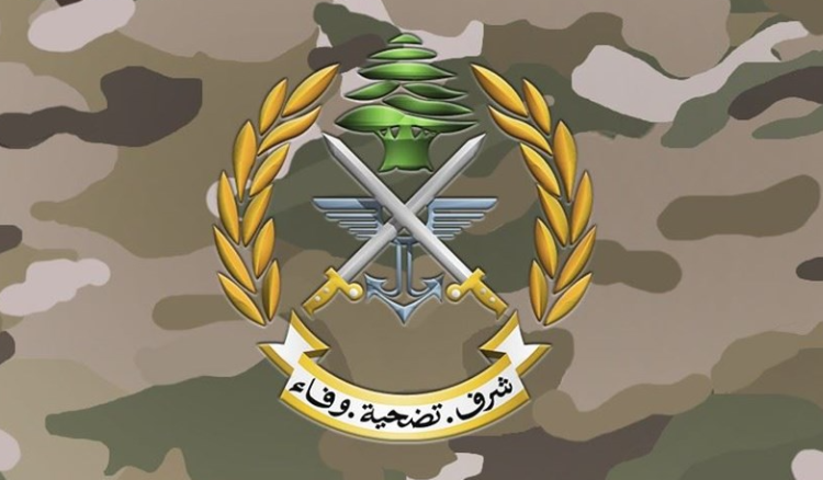 الجيش يوقف 7 أشخاص ويضبط كمية كبيرة من المخدرات والأسلحة والذخائر الحربية