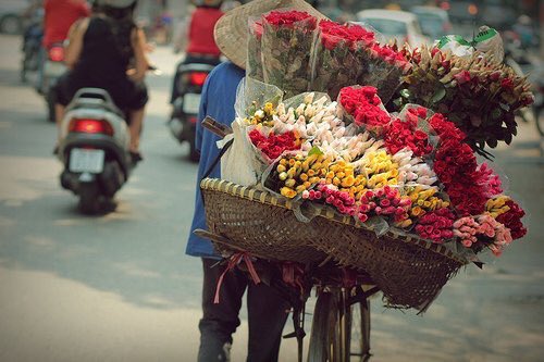 توقيف بائع ورد في زحلة بتهمة ترويج المخدرات