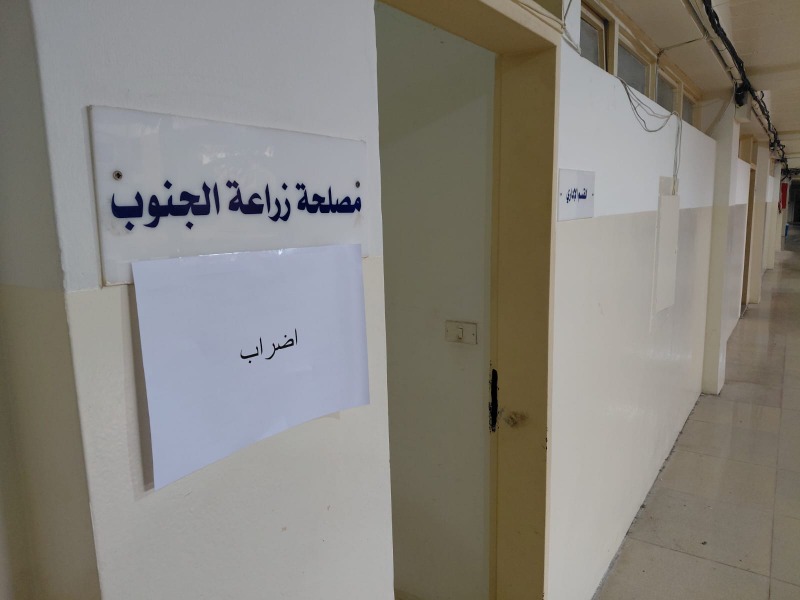 التزام تام للإضراب في إدارات سرايا صيدا.. هاشم والسن: نريد اسماع حكومتنا وإلا ذاهبون نحو التصعيد