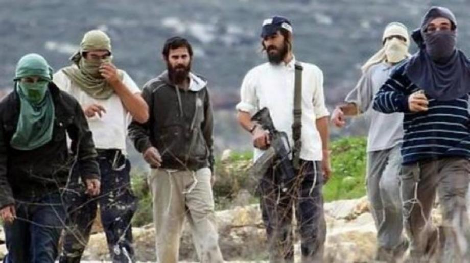 الشرطة الفلسطينية تصدر إحصائيتها السنوية حول قضايا اعتداءات المستوطنين لعام 2025
