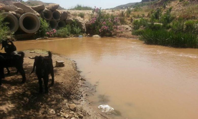 "جريمة بيئية" جديدة في تعنايل: مياه الصرف الصحي تتدفق إلى مجرى نهر الليطاني
