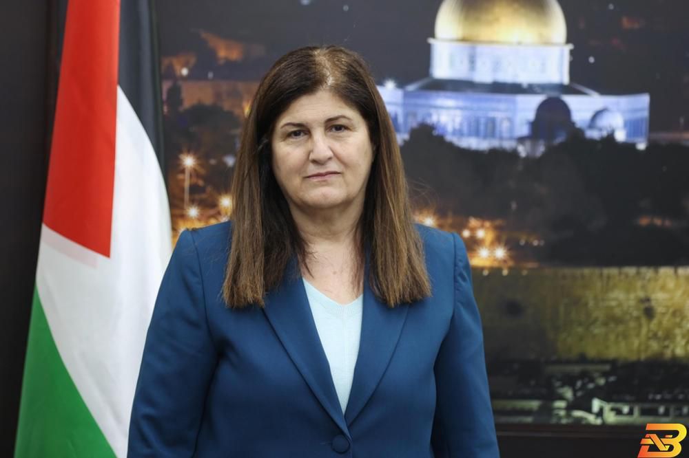 الدبلوماسية الفلسطينية والعمل تحت الضغط