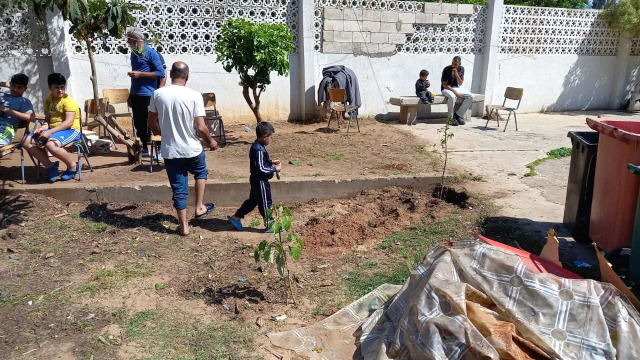 حملة بيئية في مدرسة صيدا المتوسطة المختلطة الرسمية – القناية.. تنظيف الحديقة وزراعة شجيرات زيتون وليمون