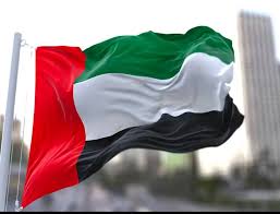 الامارات تندد باستهداف قاعدة عسكرية في تشاد