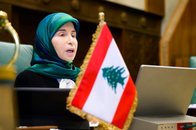 النائب عناية عز الدين من القاهرة: الحرب الإسرائيلية تهدّد الأمن الغذائي في لبنان وتفاقم معاناة المواطنين