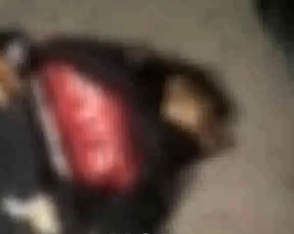 سارق يلقي بنفسه من مبنى خلال مطاردته في طرابلس