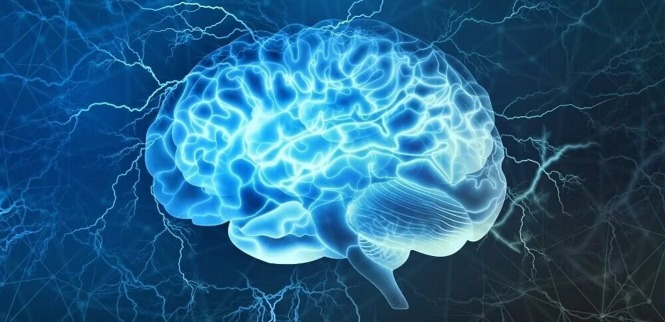 كيف تقوي ذاكرتك وأنت في منزلك؟ نشاط واحد قد يغير الكثير