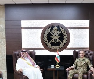 استقبالات قائد الجيش العماد هيكل