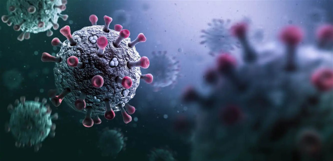 فيروس نادر يُثير مخاوف عالمية... لا علاج له وهذه أبرز أعراضه