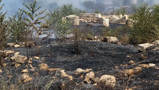 بالفيديو - حريق يندلع قرب قلعة بعلبك... وجهود لإخماد النيران وحماية الموقع الأثري