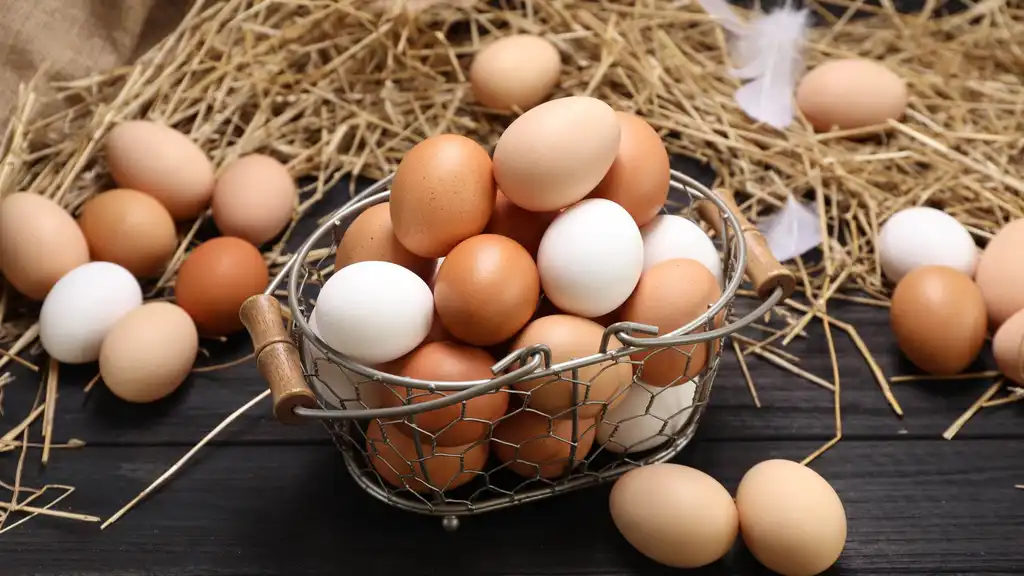 6 علامات قد تشير إلى أن تناول البيض ليلًا لا يناسبك