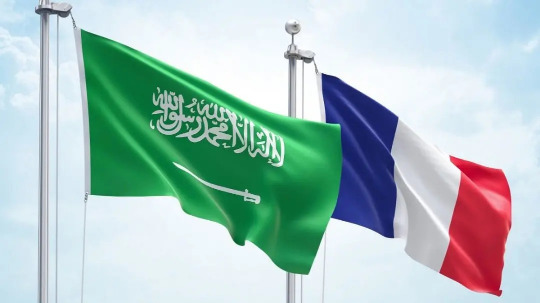 بيان سعودي - فرنسي: الالتزام بدعم الجيش اللبناني والتنفيذ الكامل للـ1701