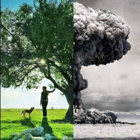 آن للحروب أن تتوقف.. وآن للسلام أن يحل في الشرق الأوسط