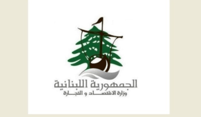 وزارة الاقتصاد كثّفت حملاتها الرقابية: 26 محضر ضبط و5 إنذارات خلال أيام و51 محضراً بحق مولدات الجنوب