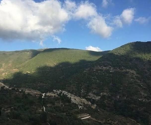 ما الذي تخطّط له "إسرائيل" في جبل الريحان وسجد؟